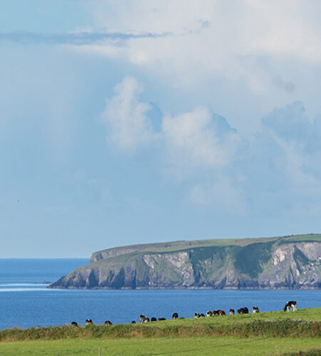 Irish Nature ABP scenery