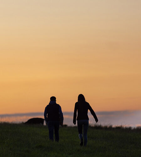 Irish Nature ABP farmers