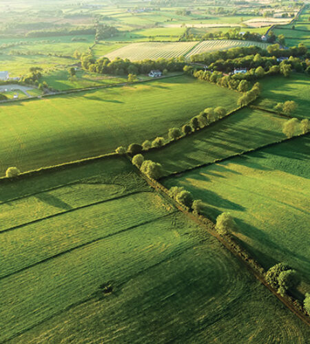 Irish Nature ABP green fields